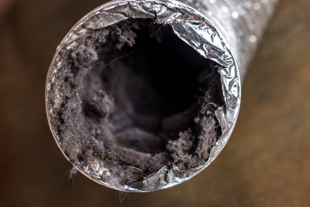 Best HVAC Duct Inspection Services  in La Cresta, CA